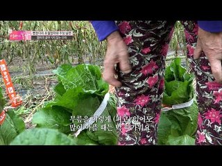 엄마의 굽혀지지 않는 다리 [엄마의 봄날] 66회 20161204
