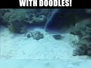 everything is better with doodles