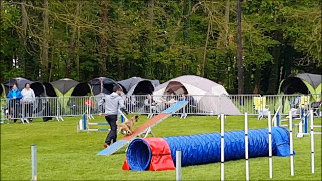 Concours Agility - Bouin Plumoison CECA7V