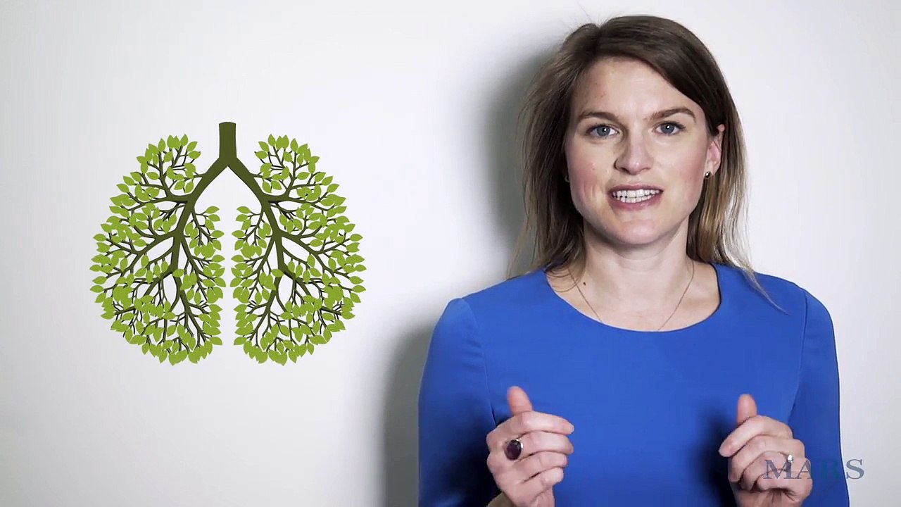Kate Wylie, Global Sustainability Director at Mars, on Forests: "The Lungs of the Earth" | Mars, Incorporated