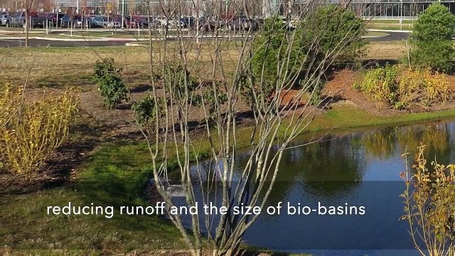 Bristol-Myers Squibb Celebrates Earth Day
