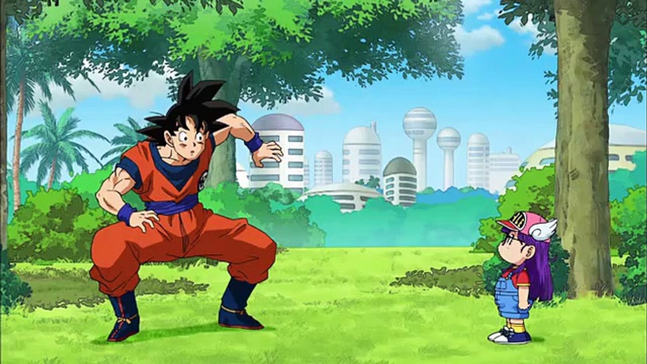 DRAGON BALL 69