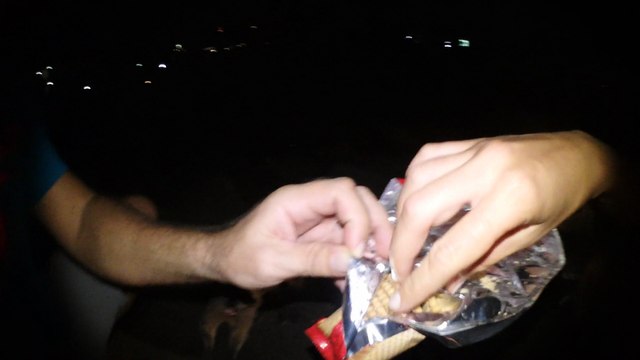 Friendly Raccoons Enjoy Snacks