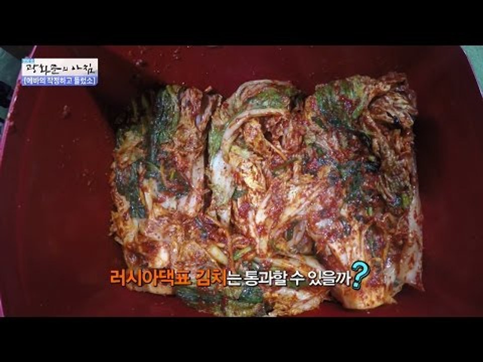 에바가 담근 러시아표 김치의 맛은? [광화문의 아침] 370회 20161201