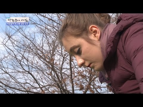 에바, 시집살이 최고봉 김장 도전! [광화문의 아침] 370회 20161201