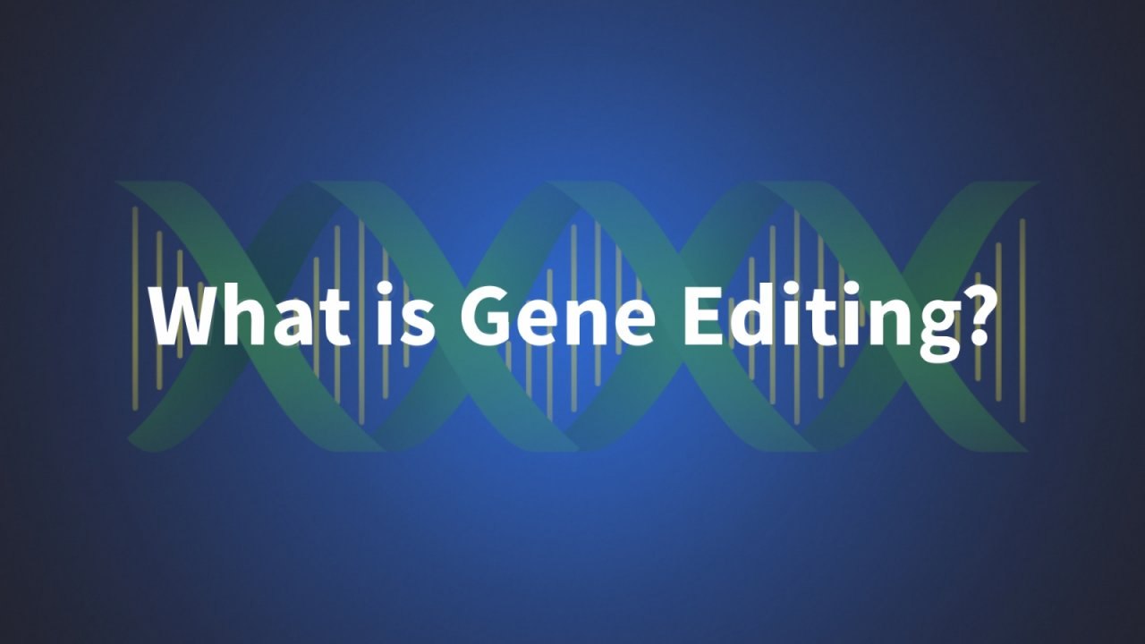 What is gene editing?
