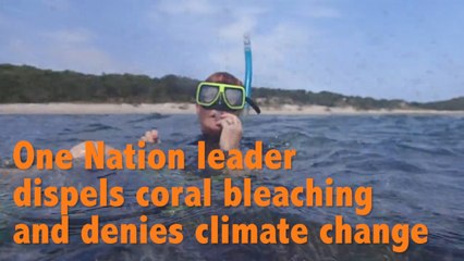 Australia: One nation leader Pauline Hanson denies coral bleaching and climate change