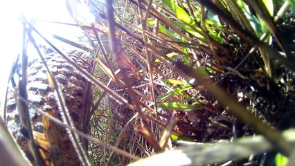 4k, ultra hd, pedal solidário, 56 amigos, Taubaté, SP, Brasil, trilhas da serra da mantiqueira, Tremembé, SP, Brasil, Marcelo Ambrogi