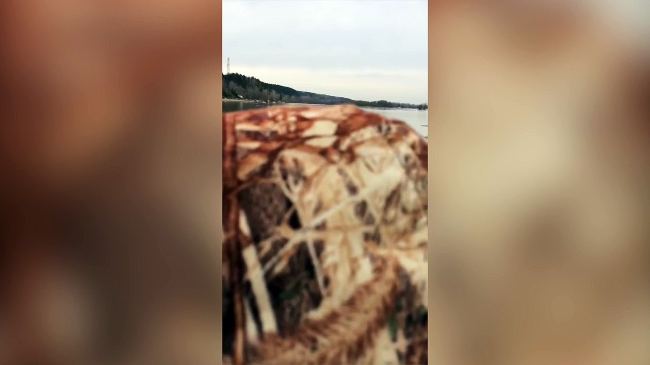 Un chien se retrouve coincé sur un morceau de glace au milieu de l'eau !