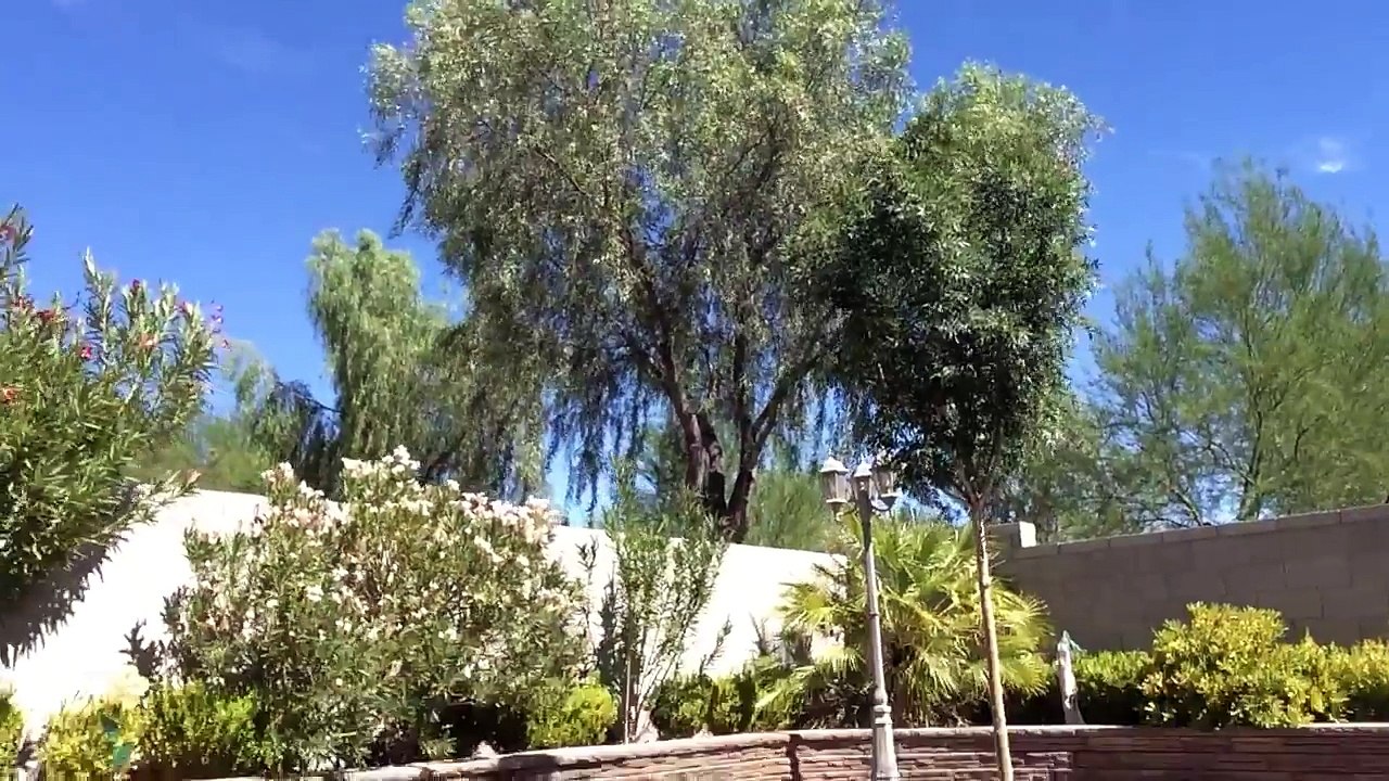 To be continued for the True and dare