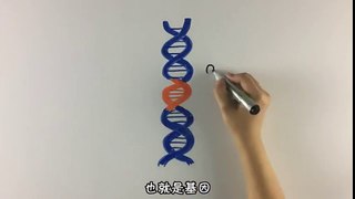 2 分鐘認識 CRISPR/Cas9 基因編輯技術 (CRISPR/Cas 9 Gene Editing Introduction)