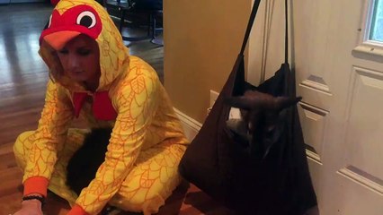 Ellen DeHeneres Meets Wallaby Jack