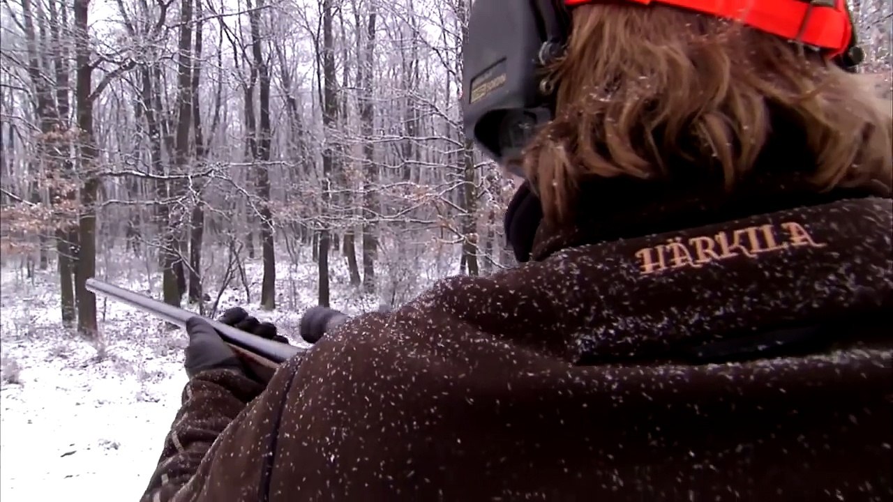 caçada ao porco selvagem(rifle)muitos, caceria del cerdo, avı yaban domuzu, охота дикая свинья