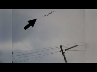 Flying snake spotted in Tamil Nadu's Coimbatore