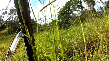 2,7k, ultra hd, pedal solidário, 56 amigos, Taubaté, SP, Brasil, trilhas da serra da mantiqueira, Tremembé, SP, Brasil, Marcelo Ambrogi
