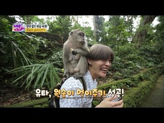 겁 없는 유타, 원숭이에게 다가간다! [아이돌잔치] 2회 20161128