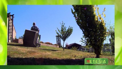 ETESIA - témoignage d'un utilisateur de BAHIA