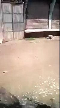 des boucliers humains utilisés par les maoïstes