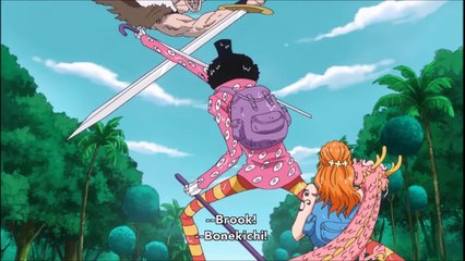 Brook/Sanji Baddass Entrance Vs Sheephead EPIC!!!! One Piece 739 ENG SUB [HD]