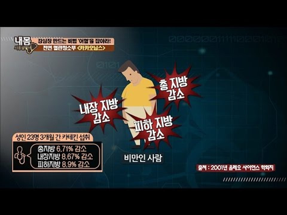 내장지방 축적 억제시키는 카카오닙스! [내 몸 사용설명서] 130회 20161125