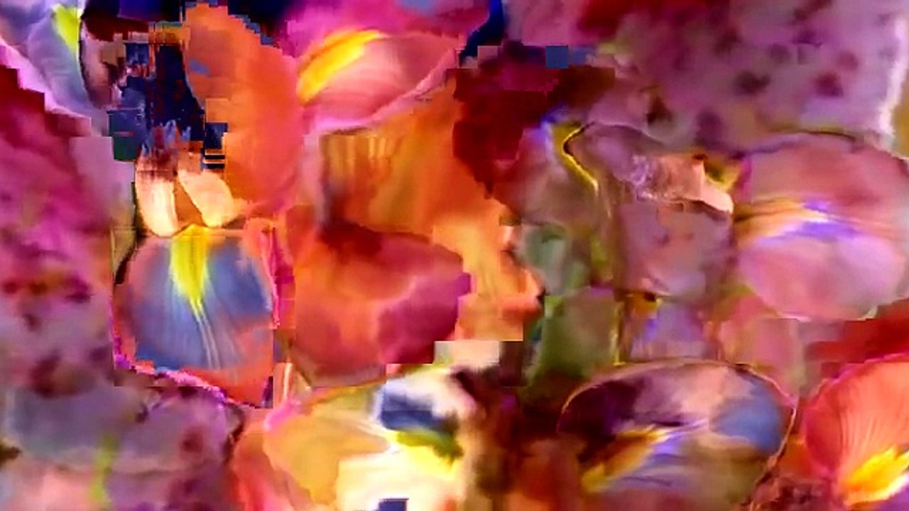 Blooming Flowers - Datamosh
