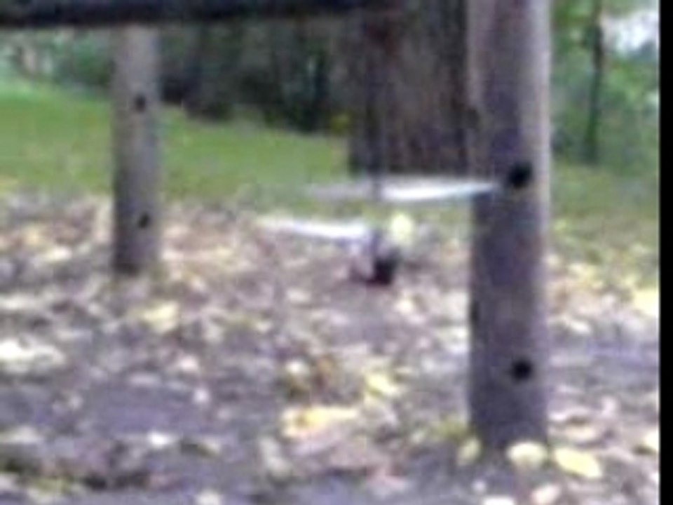 helico swiss lama spectacle