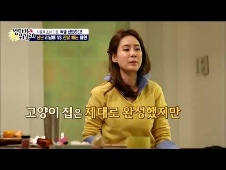 심쿵하게 귀여운 고양이를 키우게 된 리남매! [엄마가 뭐길래] 55회 20161124