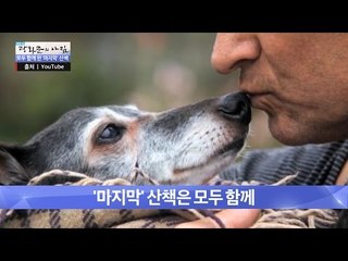 눈물 없이는 못 보는...마지막 산책 [광화문의 아침] 365회 201611124