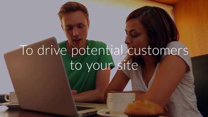 Your Startup Business Should Hire an SEO Expert to Become Successful