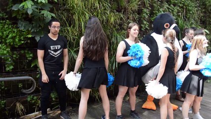 Préparation TOSS 2017 Cheerleading : POMPOM EIVP !