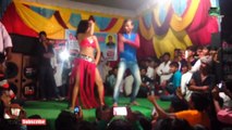 New Bhojpuri Arkestra Dance 2017   तुम सुसुक के रोई थी मै घुसुक के ठेला था