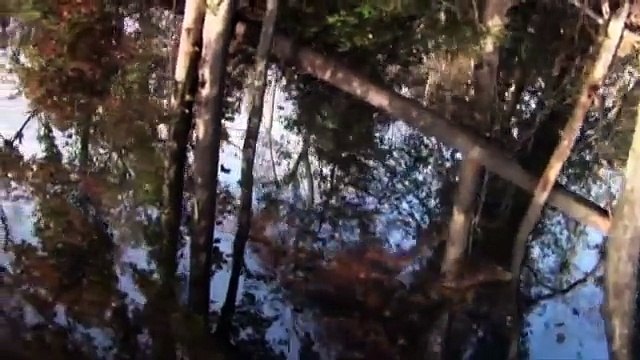 Legend of the Goatman Horrifying Monsters, Cryptids and Ghosts - REAL Creatures, Monsters in USA