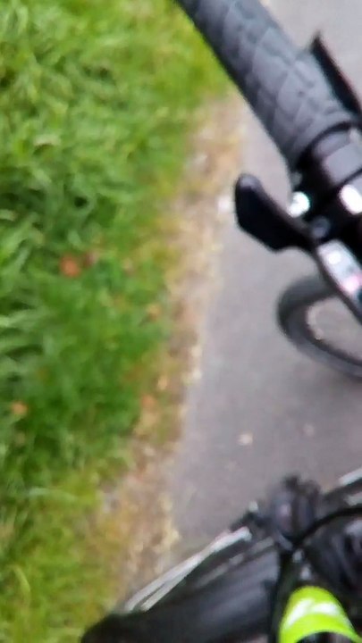 KOT IST DAMPFSPARTEN