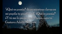 Frases Célebres, Proverbios, Reflexiones, Citas