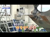 굴착기로 와인잔 탑 쌓기 성공! [광화문의 아침] 470회 20170425