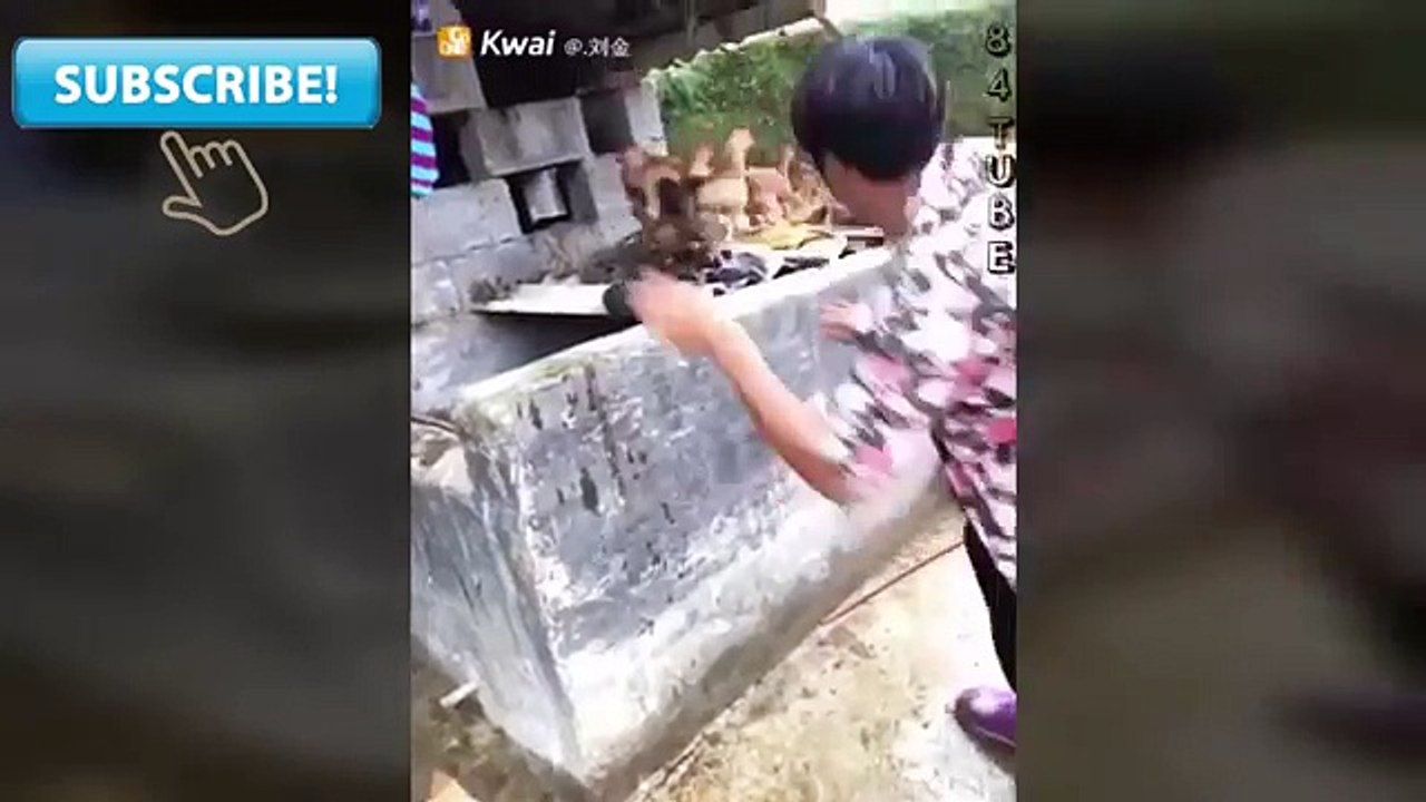 Indian Funny Videos -Funny videos Whatsapp Funny Videos 2017 of March P8
