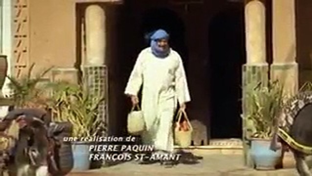 Easy to find Any Animal (Amazing)