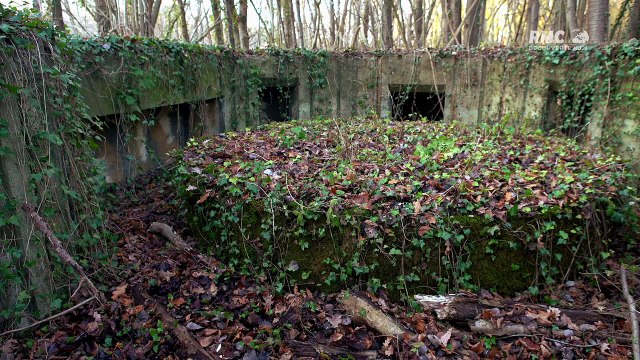 les bunkers oubliés d'hitler