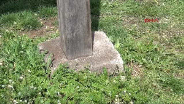 Karabük Kabuğu Kırılan Kaplumbağa Tedaviye Alındı