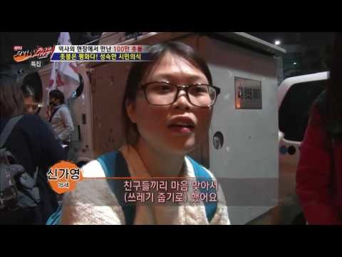 평화 촛불 시위가 끝난 후, 광화문의 모습은? [뉴 코리아 헌터] 25회 20161121