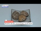 면역력 높이는 레시피 공개! [광화문의 아침] 362회 20161121