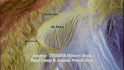 Mars Mt Sharp Base Camp & Animal Sighting near Curiosity Rover