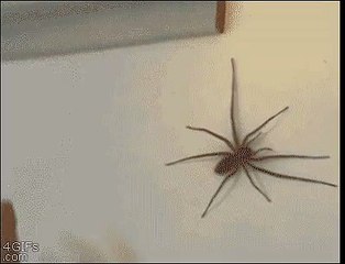 인터넷배팅사이트【 SCB 3 3、CＯM - 코드: 0004 】▒비플에이전시