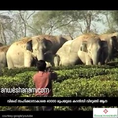 കറന്‍സി വിഴുങ്ങുന്ന  കാലം....  #AnweshanamIndia