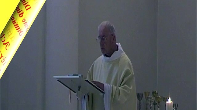 Homélie du 2ème Dimanche du Temps Pascal - A ( 2017 )