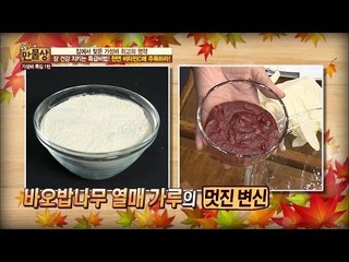 가성비 최고의 바오밥 나무! 천연비타민C에 주목! [만물상 167회] 20161120