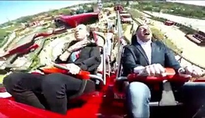 Insolite : en pleine attraction, un pigeon s’écrase sur le visage d’un homme !