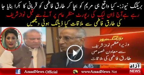 PM Nawaz Sharif Meets Tariq Fatemi