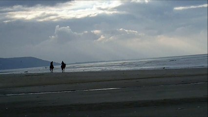 6-La loi du plus fort-The law of the strongest