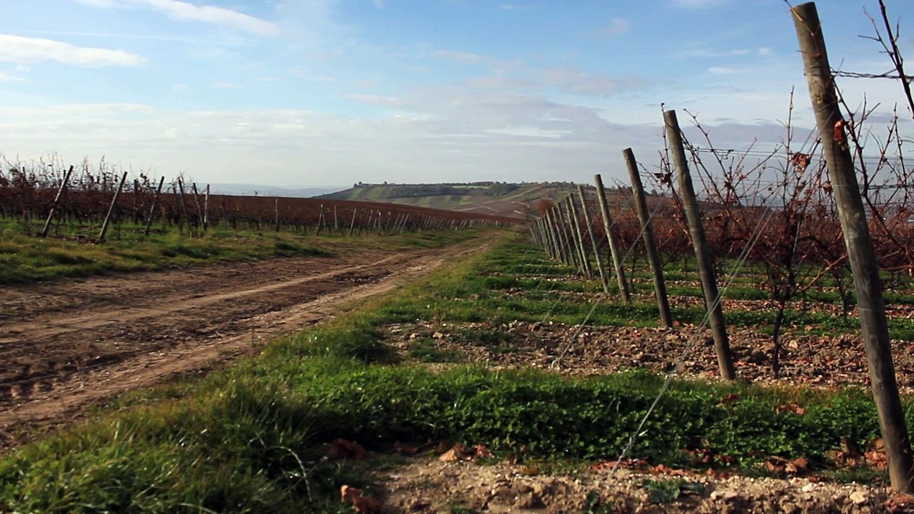 Deutschland Rheinhessen  -  Herbst in Vendersheim 2010 /Full Film/Complete Movie/Ganzer Film